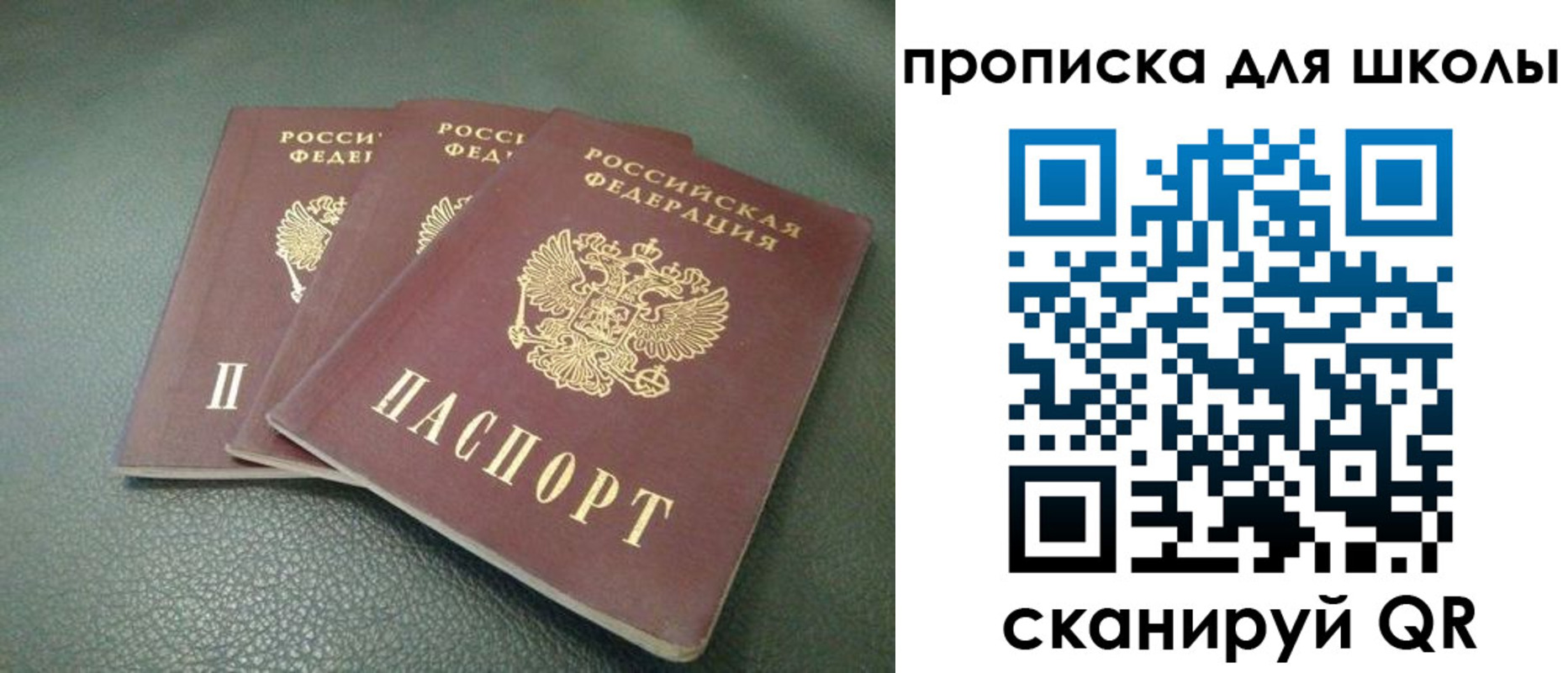 прописка регистрация в Пионерском